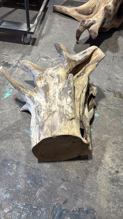Root Coffee Table 30" L x 28" W x 18" H