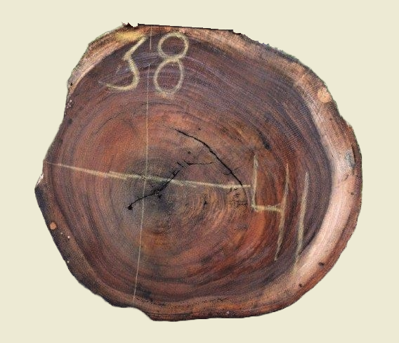 Custom Live Edge Dining Tables for Interior Design and Home Decor accented with rustic slab Coffee/End table furniture.