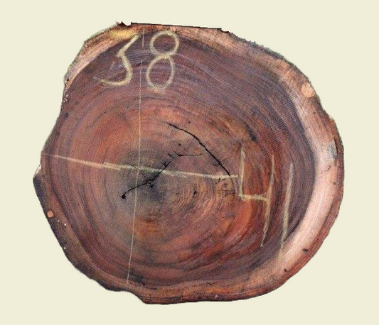 Custom Live Edge Dining Tables for Interior Design and Home Decor accented with rustic slab Coffee/End table furniture.