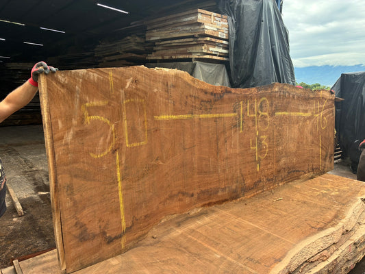 Slab 148"L x 46”W X 2"H SL029GNC