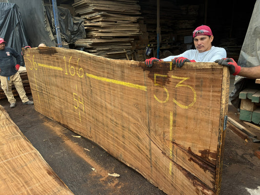 Slab 166" L x 54” W X 2" H SL051GNC