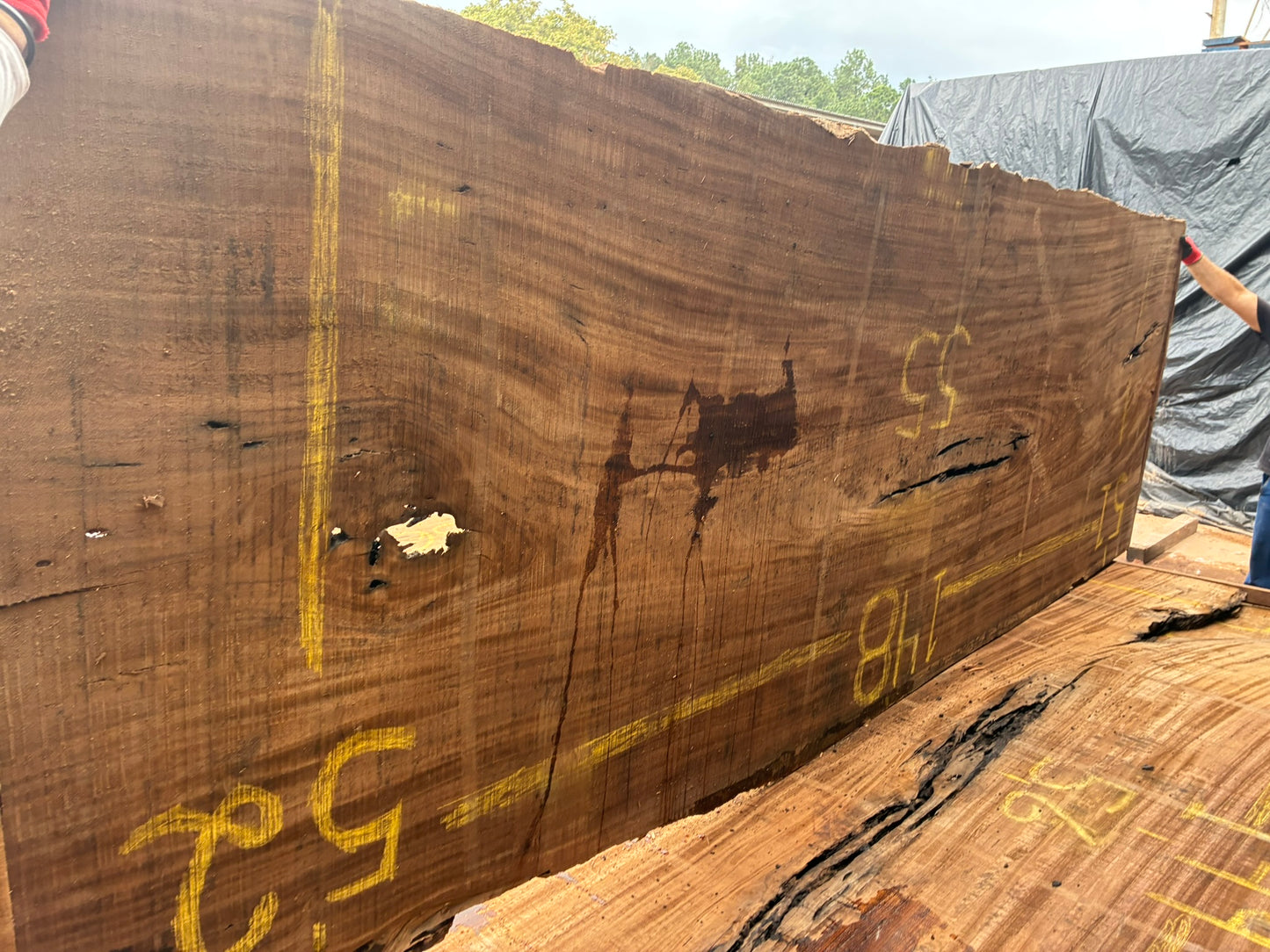 Slab 148"L x 53”W X 2"H SL036GNC