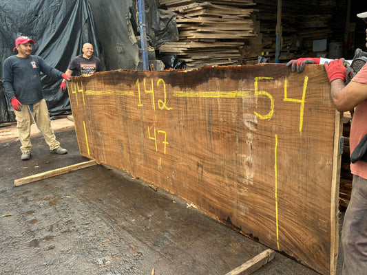 Slab 142"L x 48”W X 2"H SL057CEN