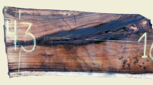 Custom Live Edge Dining Tables for Interior Design and Home Decor accented with rustic slab Coffee/End table furniture.