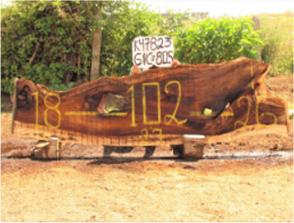 Slab 80"L x 30”W X 2"H K44250CEN