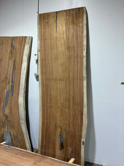 Raw Live Edge Parota Slab 118"x38"x2" K48674GNC
