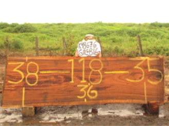Slab 118"L x 36”W X 2" K48676GNC