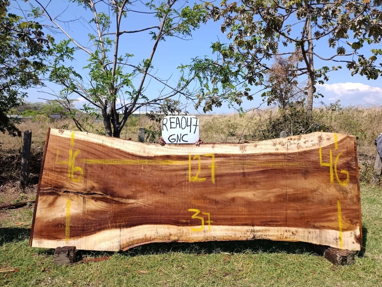 Slab 127"L x 43”W X 2"H REA047GNC