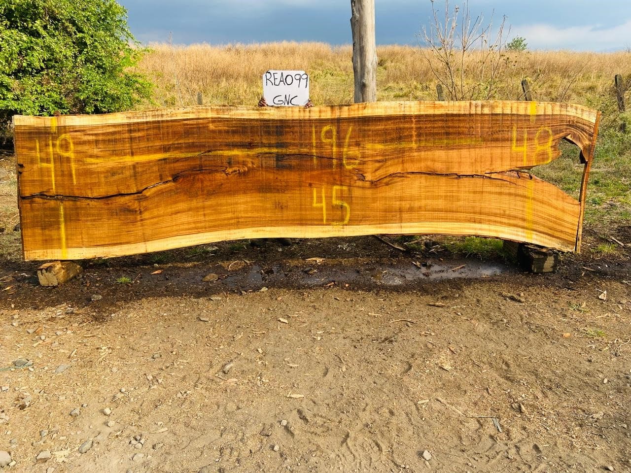 Slab 196"L x 47”W X 2"H REA099GNC